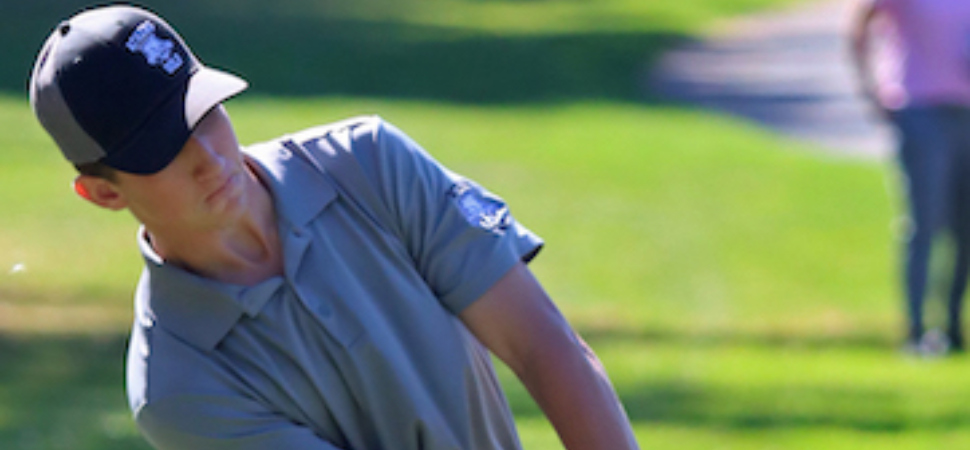 Hicks Leads Athens To Runner-Up Finish At Class 3A Championships