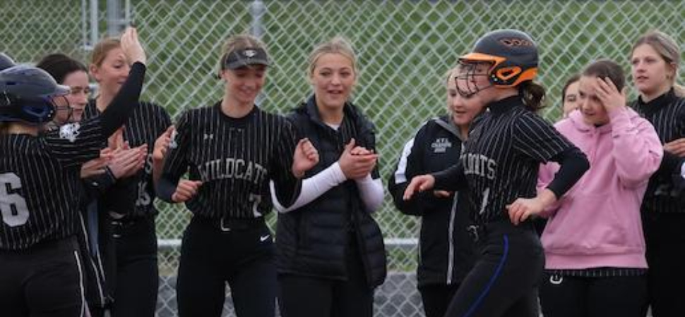 Hileys Lift Athens To 3-0 Win Over Wellsboro