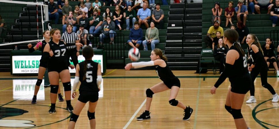 Athens Takes First Set; Unbeaten Wellsboro Rallies For 3-1 Win