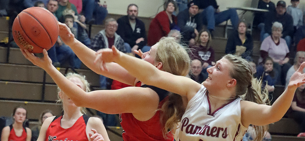 Lady Warriors Fall Short To NEB In District Hoops