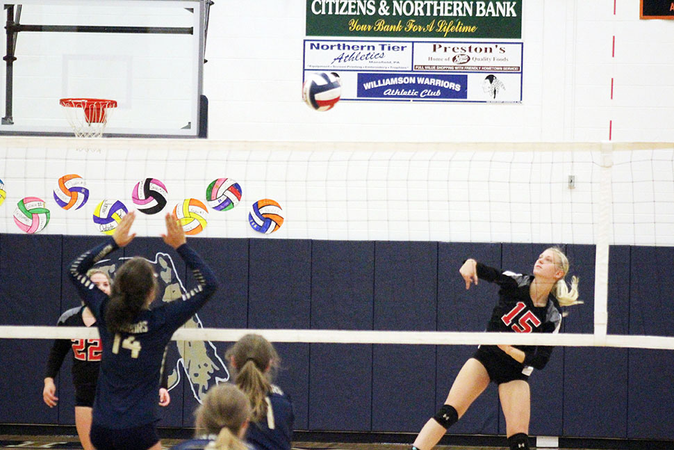 Lady Warriors Volleyball takes third at Williamson tournament