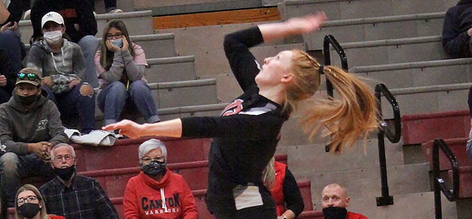 Williams named NTL Volleyball MVP.