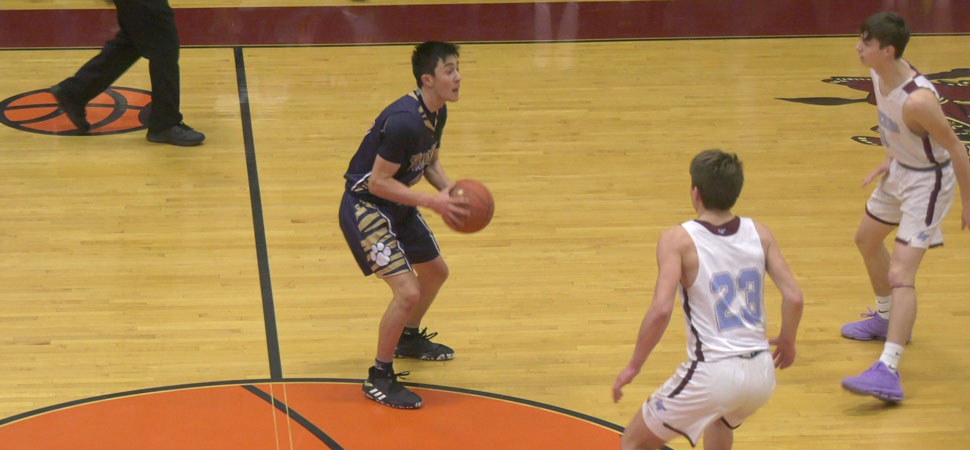 Tigers fall to Loyalsock in D4 AAA semis