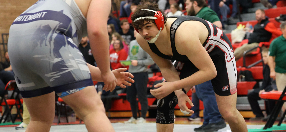 Palmer Comes Through The Consolations To Take Fourth, Punch His Ticket To States