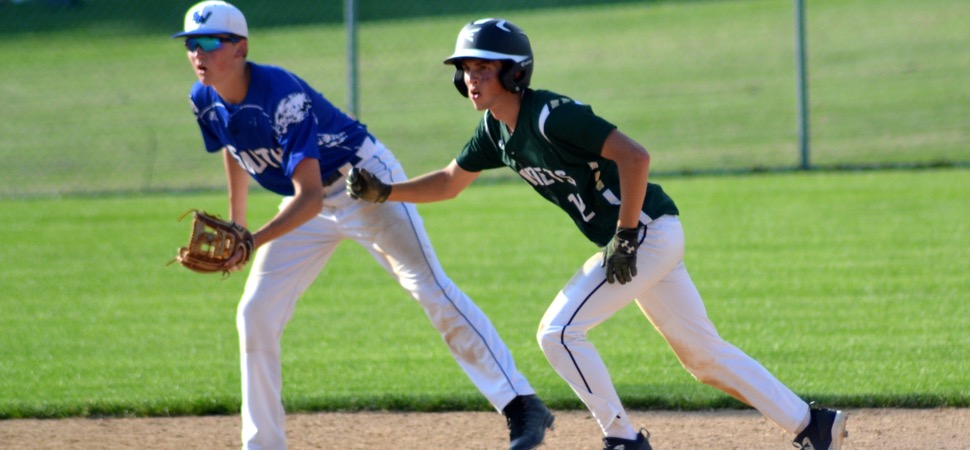 Hornets fall to South Williamsport in D4 title game.