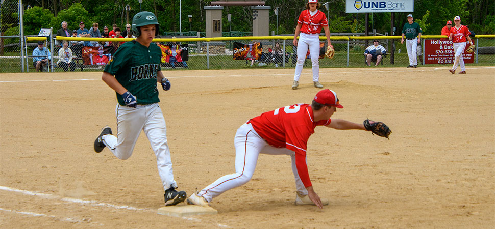 Hornets Fall To Mount Carmel In District Playoffs.