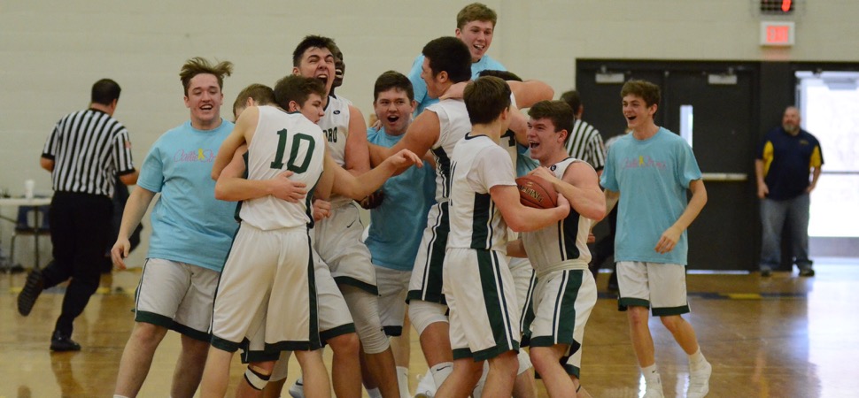 Hornets top Loyalsock for District IV AAA championship.