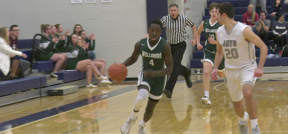 Central Columbia outlasts Wellsboro in D4 quarterfinals