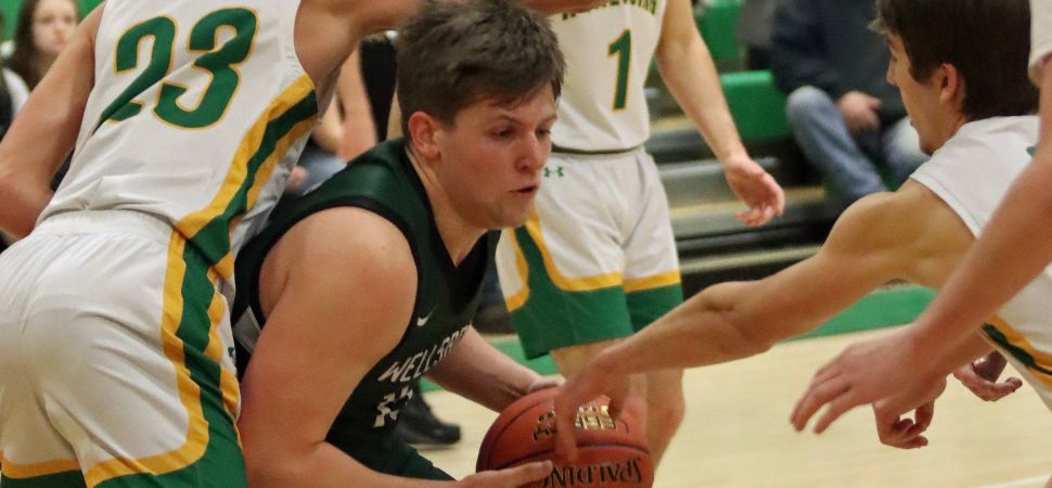 Hornets Fall To Wyalusing In OT
