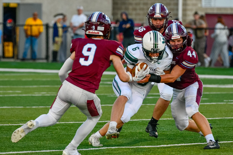Loyalsock