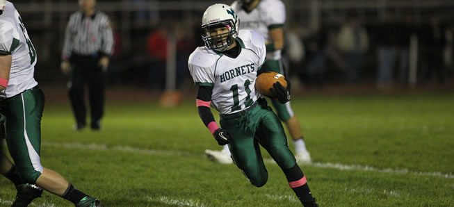 Brooks, Owlett, Doty headline Wellsboro's District IV football All-Stars