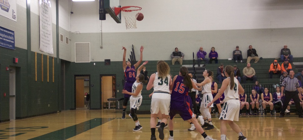 Lady Hornets fall to Danville