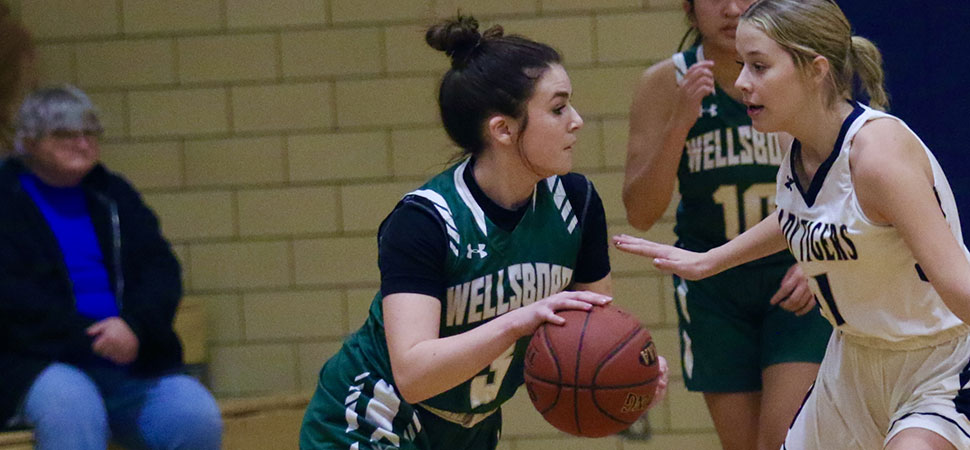 Lady Hornets end 5-game skid, win 40-25 win over Mansfield