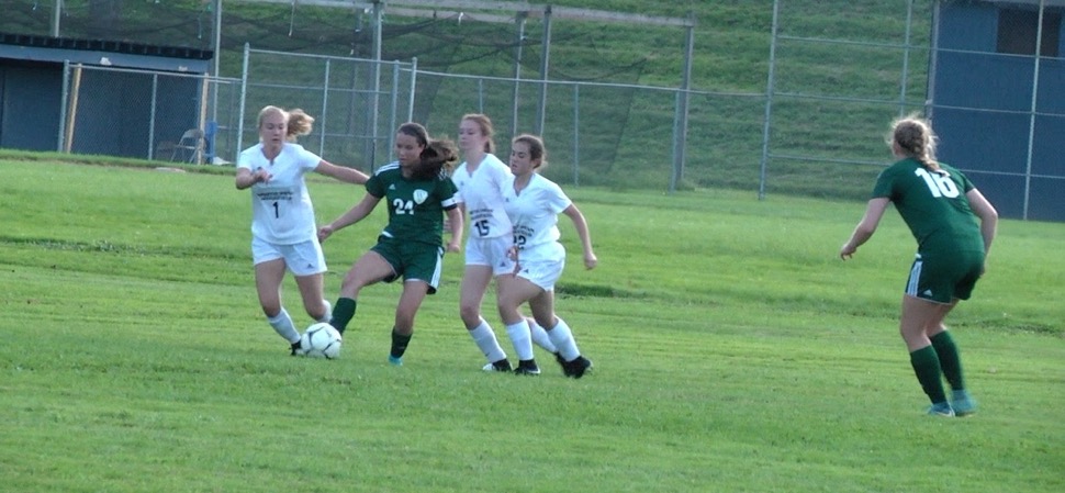 Lady Hornets shutout Mansfield, 2-0