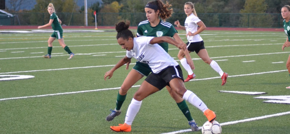 Athens girls soccer shuts out Wellsboro