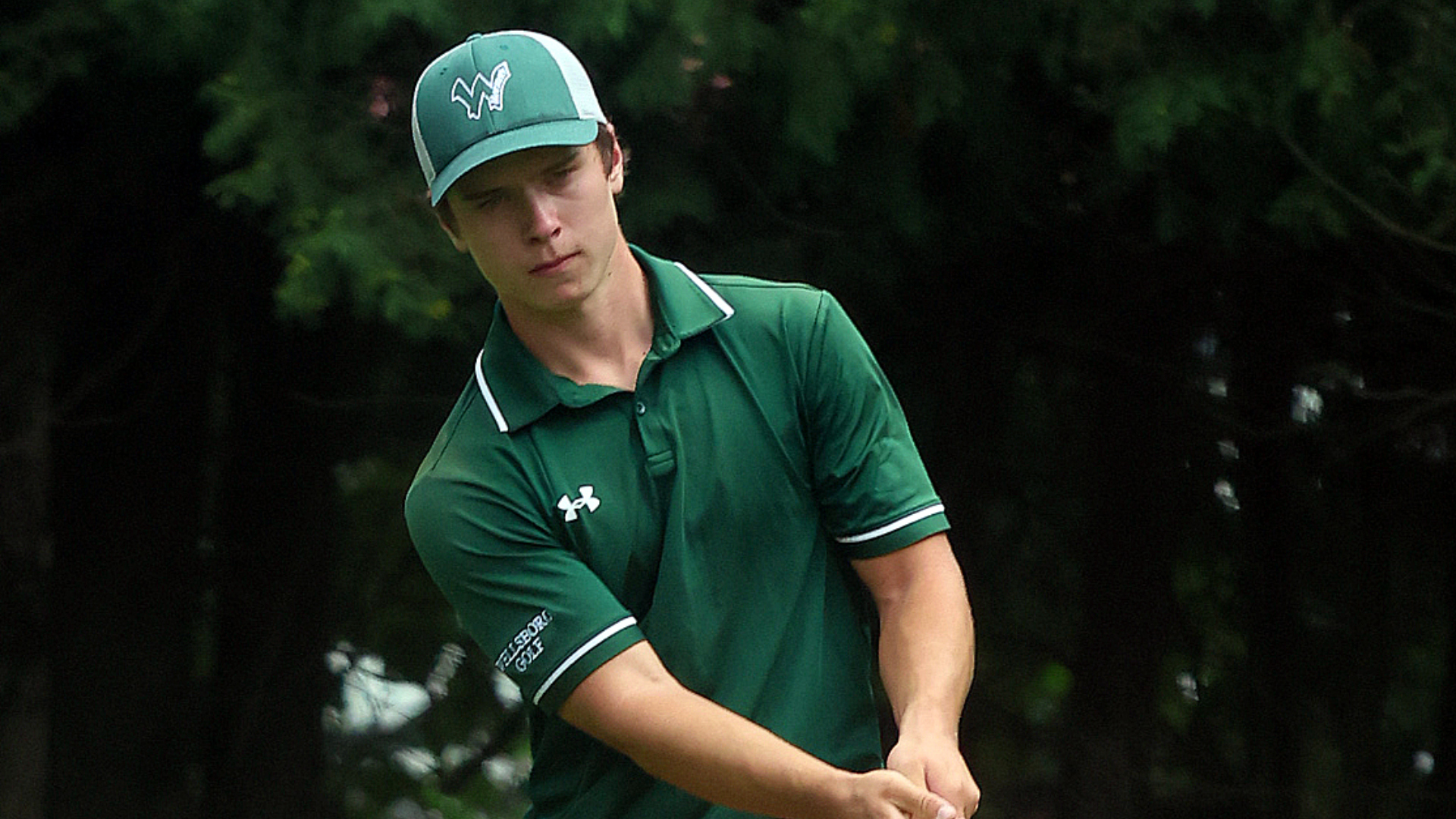 Wellsboro Golfers Place 4th At Towanda