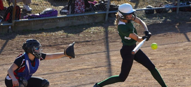 6 Lady Hornets named to All-State softball team.
