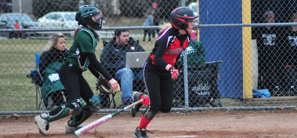 North Penn-Liberty tops Wellsboro in extra innings