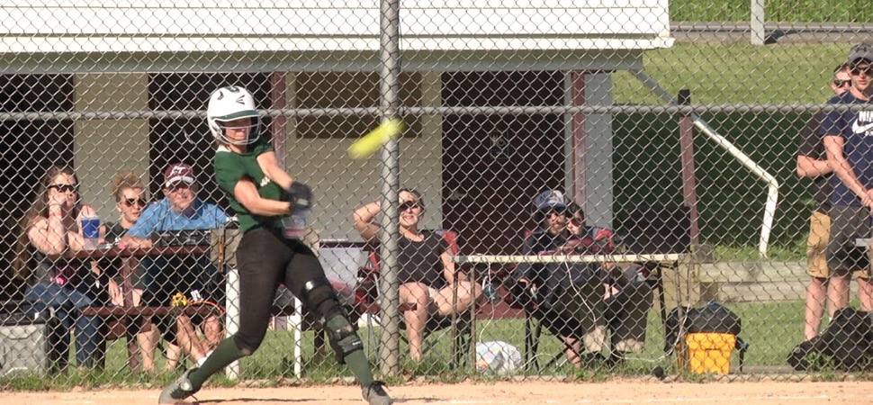 Lady Hornets fall to Loyalsock in D4 quarterfinals.