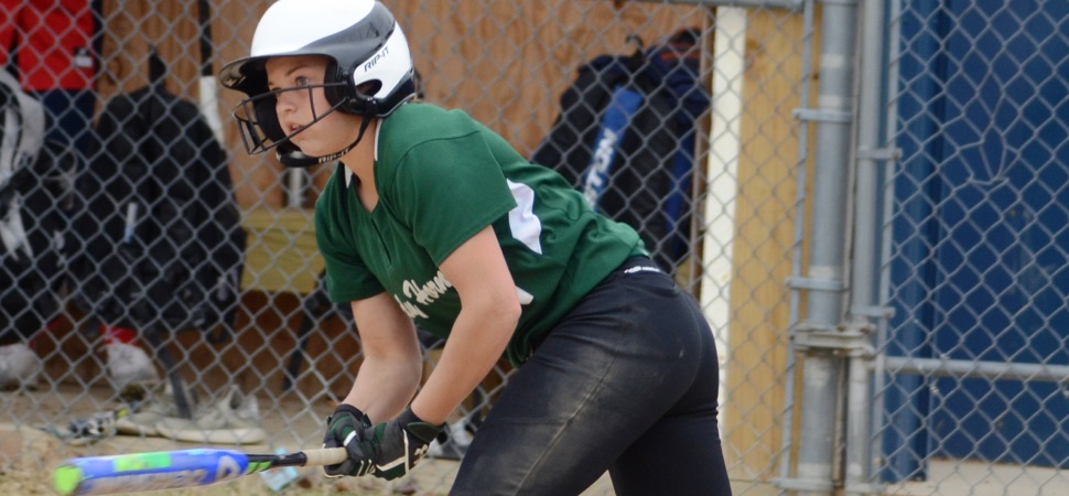 Lady Hornets top Williamson, 9-6 for third straight win.