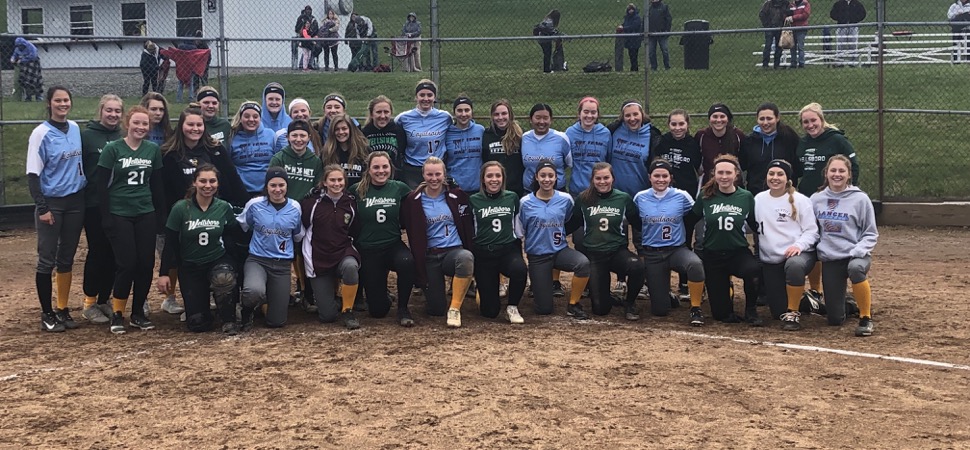 Lady Hornets fall to Loyalsock, 12-2