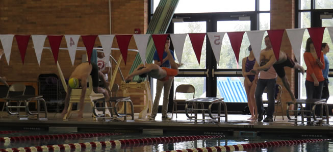 Hornet swimmers compete at Williamsport Invite