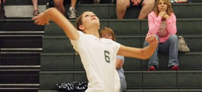 Williamson sweeps Hornet volleyball