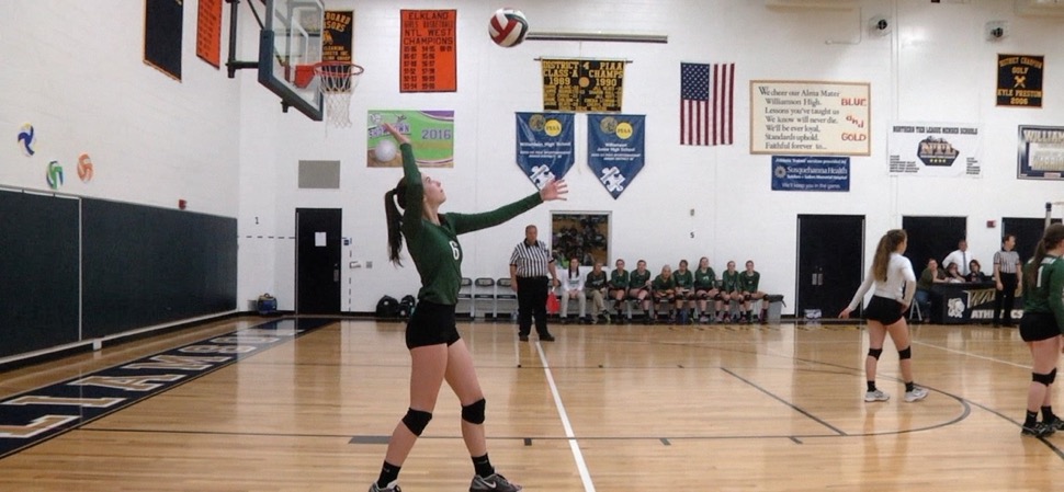 Lady Hornets fall to North Penn-Liberty in District 4 volleyball championship