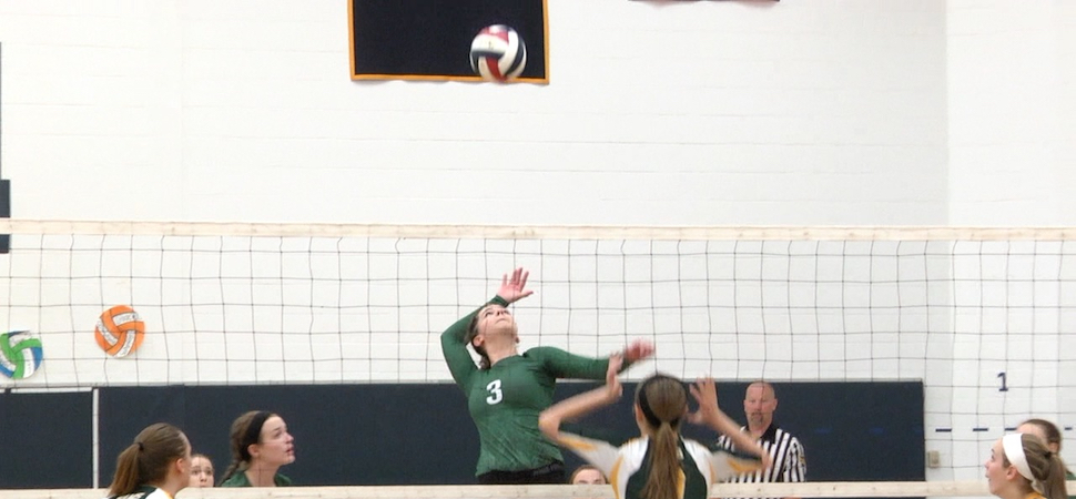 Lady Hornets edge Wyalusing, 3-2 in District IV semi-finals