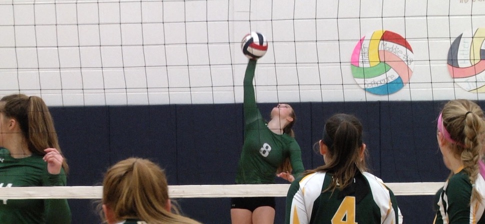 Lady Hornets sweep Wyalusing to return to D4 AA finals