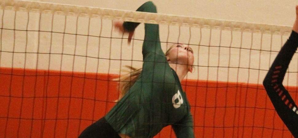 Lady Hornets sweep Towanda