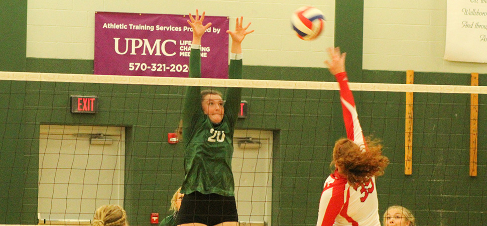 Lady Hornets sweep Troy to stay unbeaten