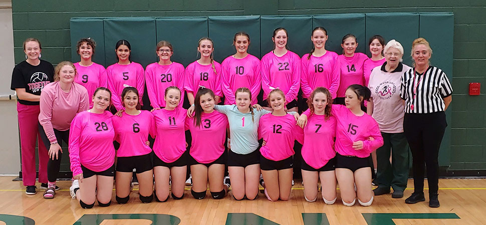 Lady Hornets Sweep Athens In Pink Out Game
