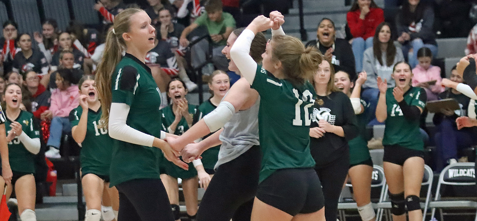Lady Hornets Get Past Wyalusing In Five Sets To Advance To D4 Semis