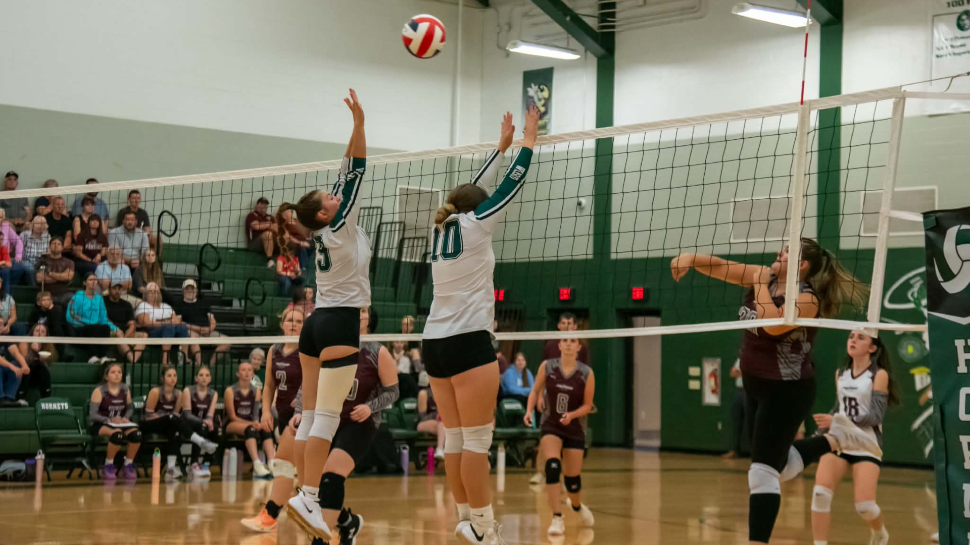 Lady Hornets Sweep NEB