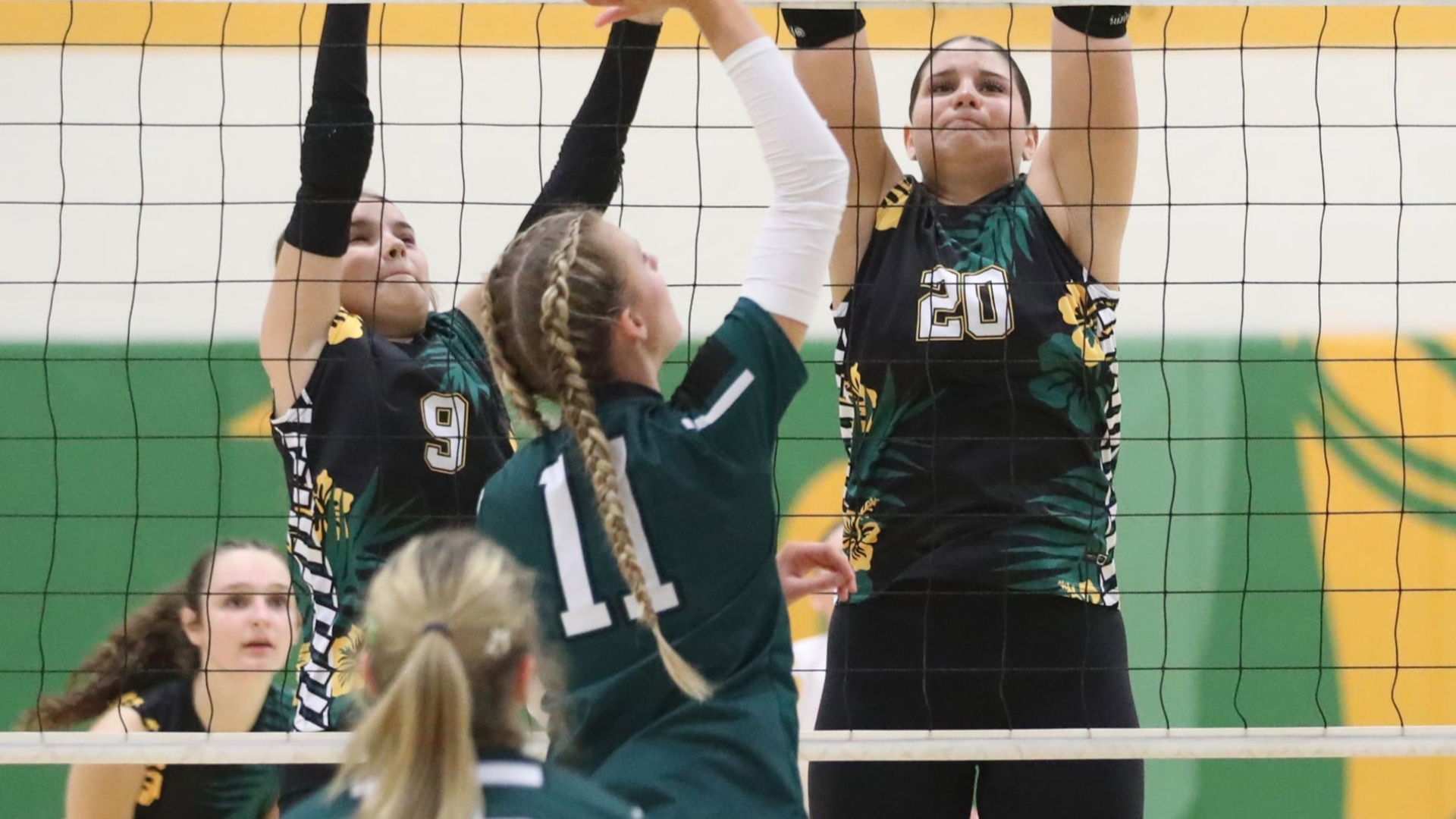Lady Hornets Sweep Season Series With Wyalusing
