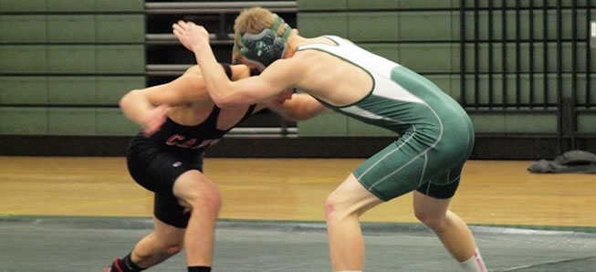 Hornet wrestlers fall to Troy