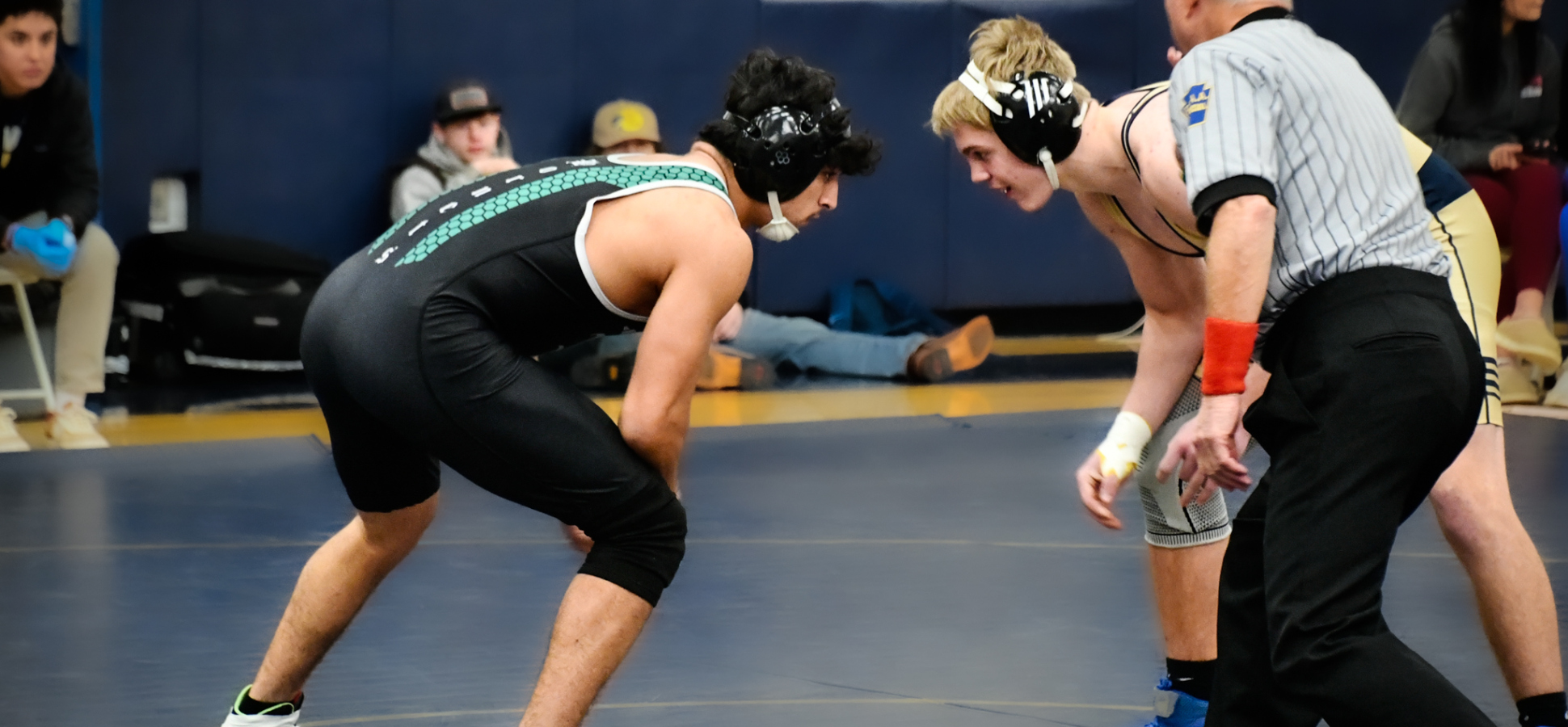 Hornets Win Two Bouts In Loss To Williamson