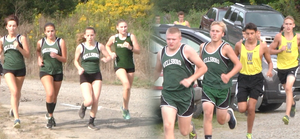 Wellsboro XC boys split with Athens, Wyalusing; girls top Wyalusing