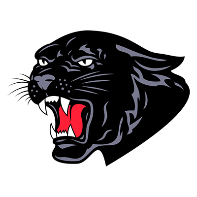 Saucon Valley Panthers