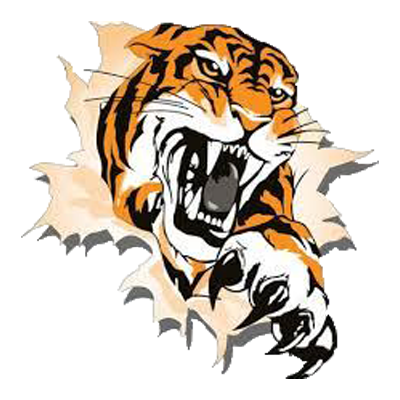 North Penn-Mansfield Tigers