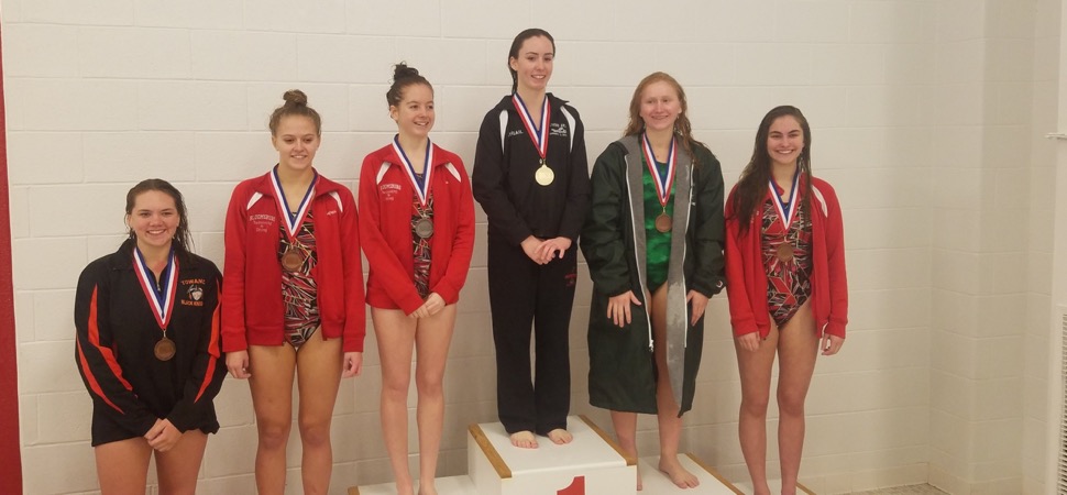 District diving results