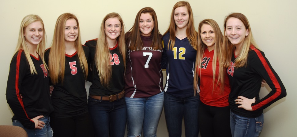 D4 A Volleyball All-Stars announced