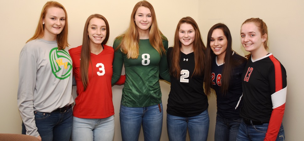 D4 AA Volleyball All-Stars announced