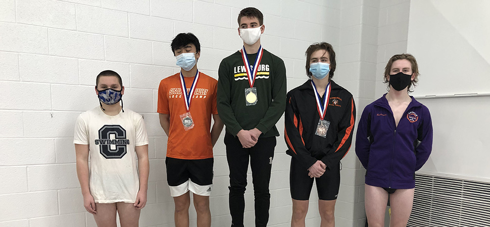 District IV Boys Diving Championship Results
