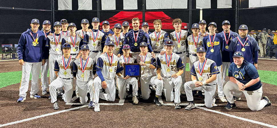 May 21 D4 Baseball Playoff Scoreboard