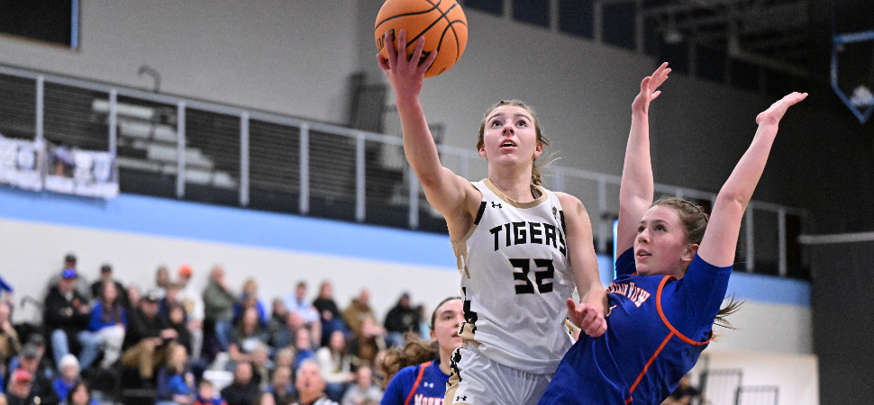 March 13 D4 Basketball State Playoff Scoreboard