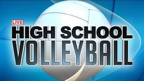Delaware Valley takes on Emmaus in the PIAA State Volleyball Playoffs