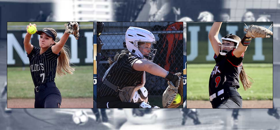 2024-25 NTL Softball All-Stars Announced
