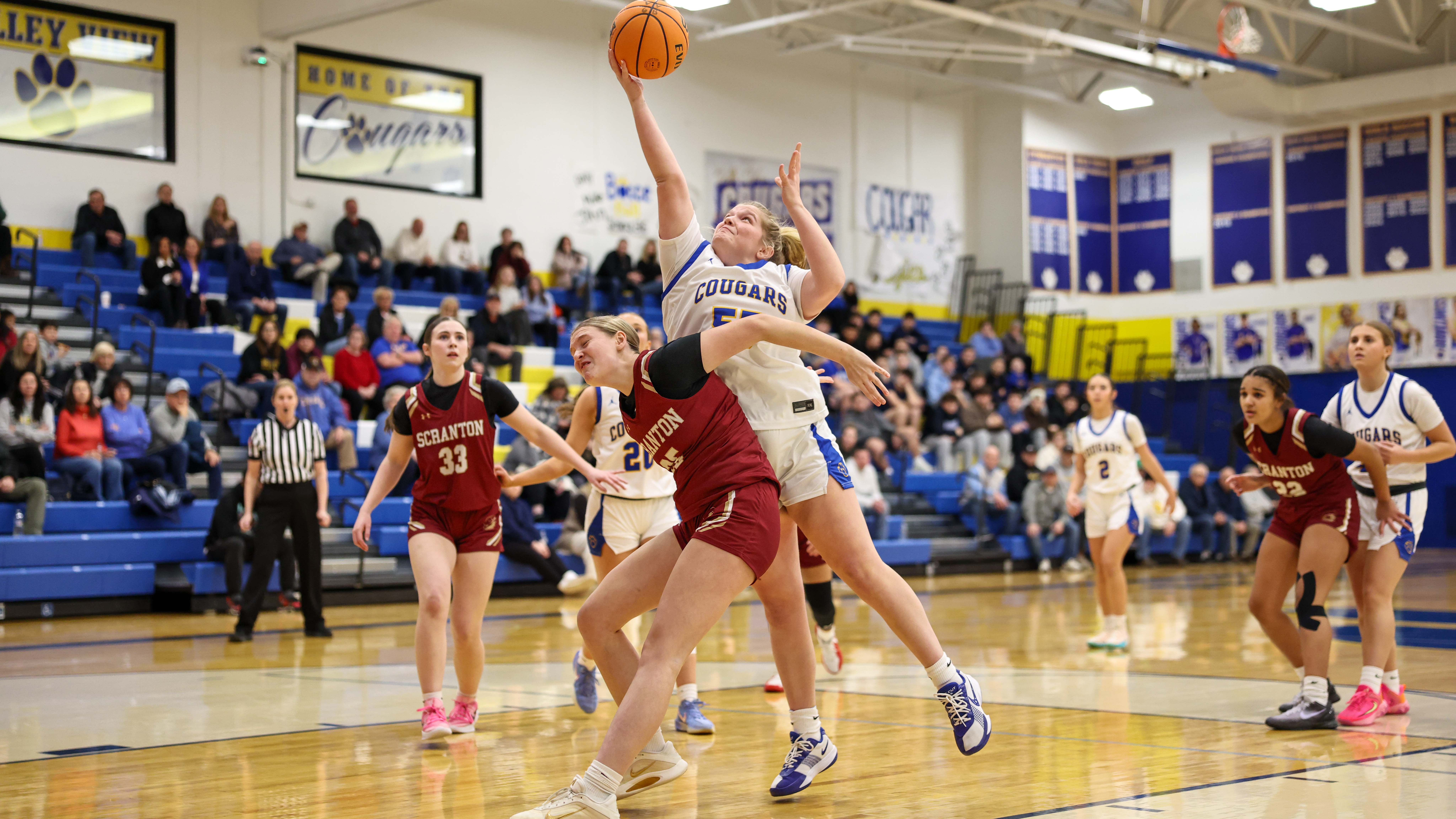 Cardoni and Castellani Lead Valley View Past Scranton in Division I Thriller